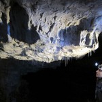 [Internet] Waitomo glowworm caves