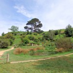 Visite de Hobbiton - La conté