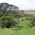 Visite de Hobbiton - La conté