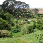 Visite de Hobbiton - La conté