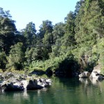Pelorus Bridge