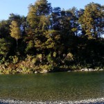 Pelorus River