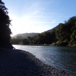 Pelorus River