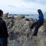 Des otaries au réveil