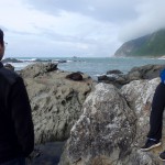 Des otaries au réveil