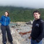 Des otaries au réveil