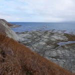 Balade aux alentours de Kaikoura