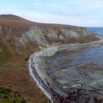 Balade aux alentours de Kaikoura
