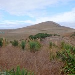 Balade aux alentours de Kaikoura