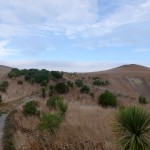 Balade aux alentours de Kaikoura