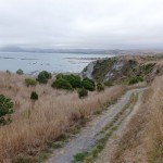 Balade aux alentours de Kaikoura