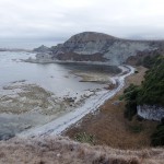 Balade aux alentours de Kaikoura