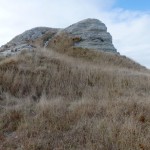 Balade aux alentours de Kaikoura
