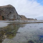 Balade aux alentours de Kaikoura