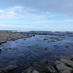 Balade aux alentours de Kaikoura