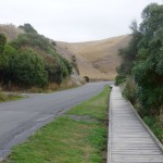Balade aux alentours de Kaikoura