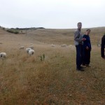 Balade aux alentours de Kaikoura