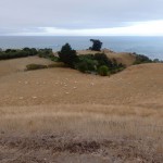 Balade aux alentours de Kaikoura