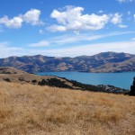 Balade aux alentours d'Akaroa