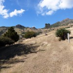Balade aux alentours d'Akaroa