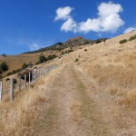 Balade aux alentours d'Akaroa