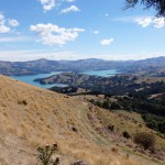 Balade aux alentours d'Akaroa