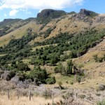 Balade aux alentours d'Akaroa