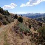 Balade aux alentours d'Akaroa