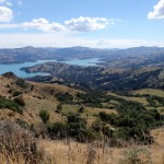 Balade aux alentours d'Akaroa