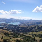 Balade aux alentours d'Akaroa