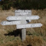 Balade aux alentours d'Akaroa