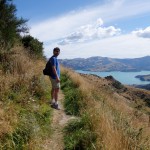 Balade aux alentours d'Akaroa