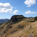 Balade aux alentours d'Akaroa