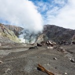 [P&A] Même pas peur, on y va !