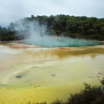 [P&A] The Champagne Pool