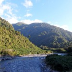 En route pour Fox Glacier