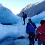 Expédition sur Fox Glacier