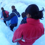 Expédition sur Fox Glacier