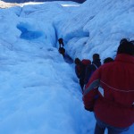 Expédition sur Fox Glacier