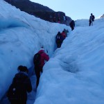 Expédition sur Fox Glacier