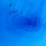 Expédition sur Fox Glacier