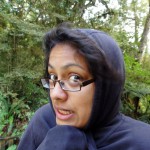 Les cascades sur la route de Wanaka