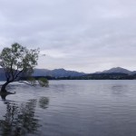 Sur la route pour Wanaka