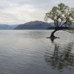 Sur la route pour Wanaka