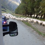 Ascension du Mont Aspiring