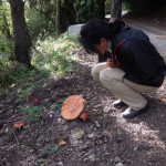 Balade sur les bords du lac Wanaka