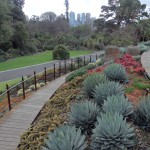 Botanic Garden